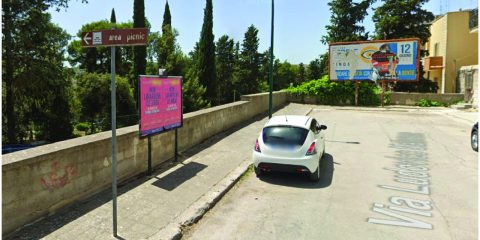 Pineta – Gravina in Puglia